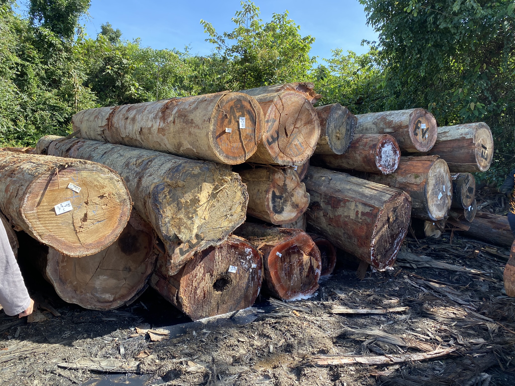 FHK5411-1: PELAN PENUAIAN HUTAN(FOREST HARVESTING PLAN)